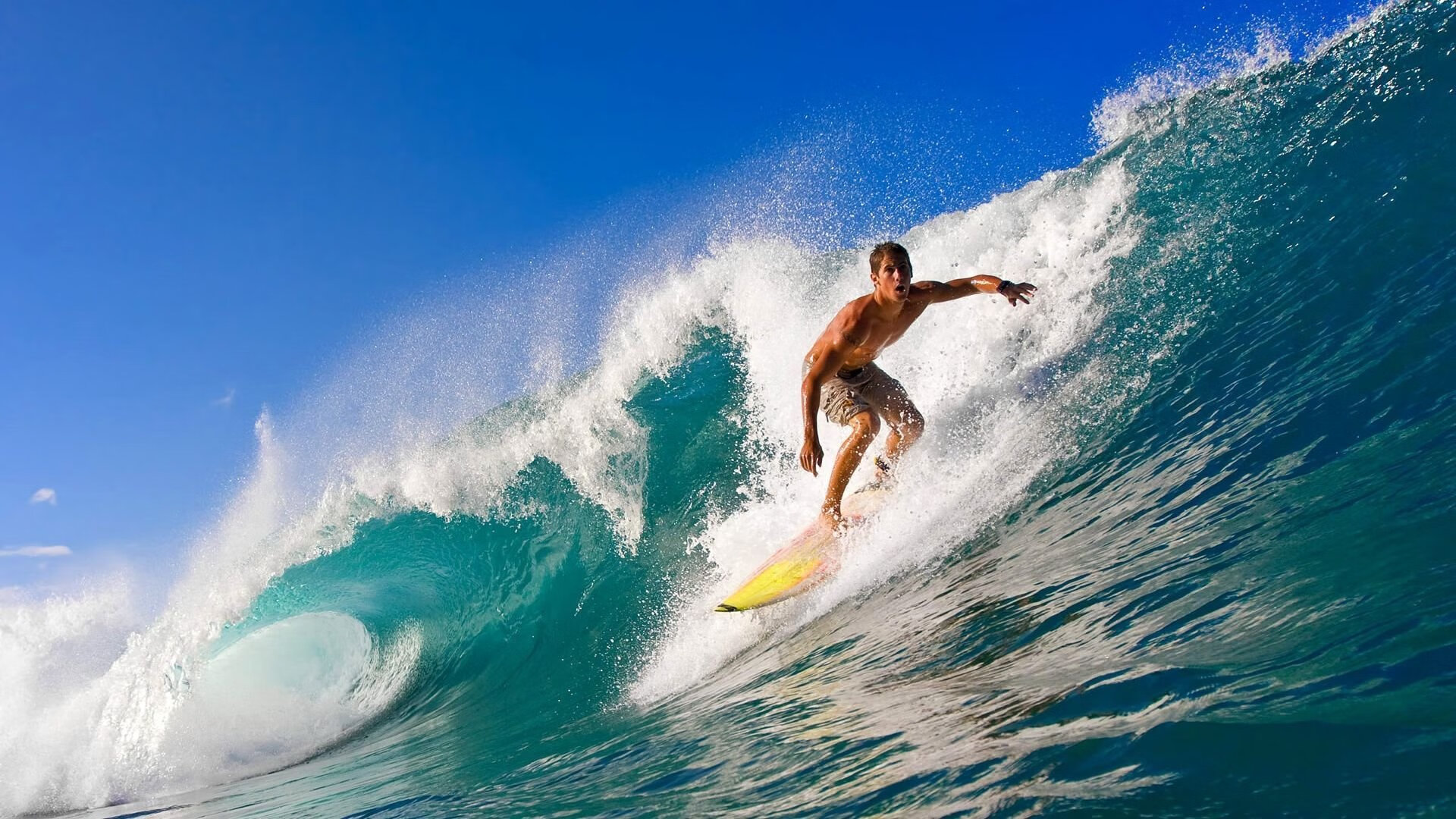 _大赛专访:幕后故事揭示比赛的精彩与辛苦_,比赛幕后工作者