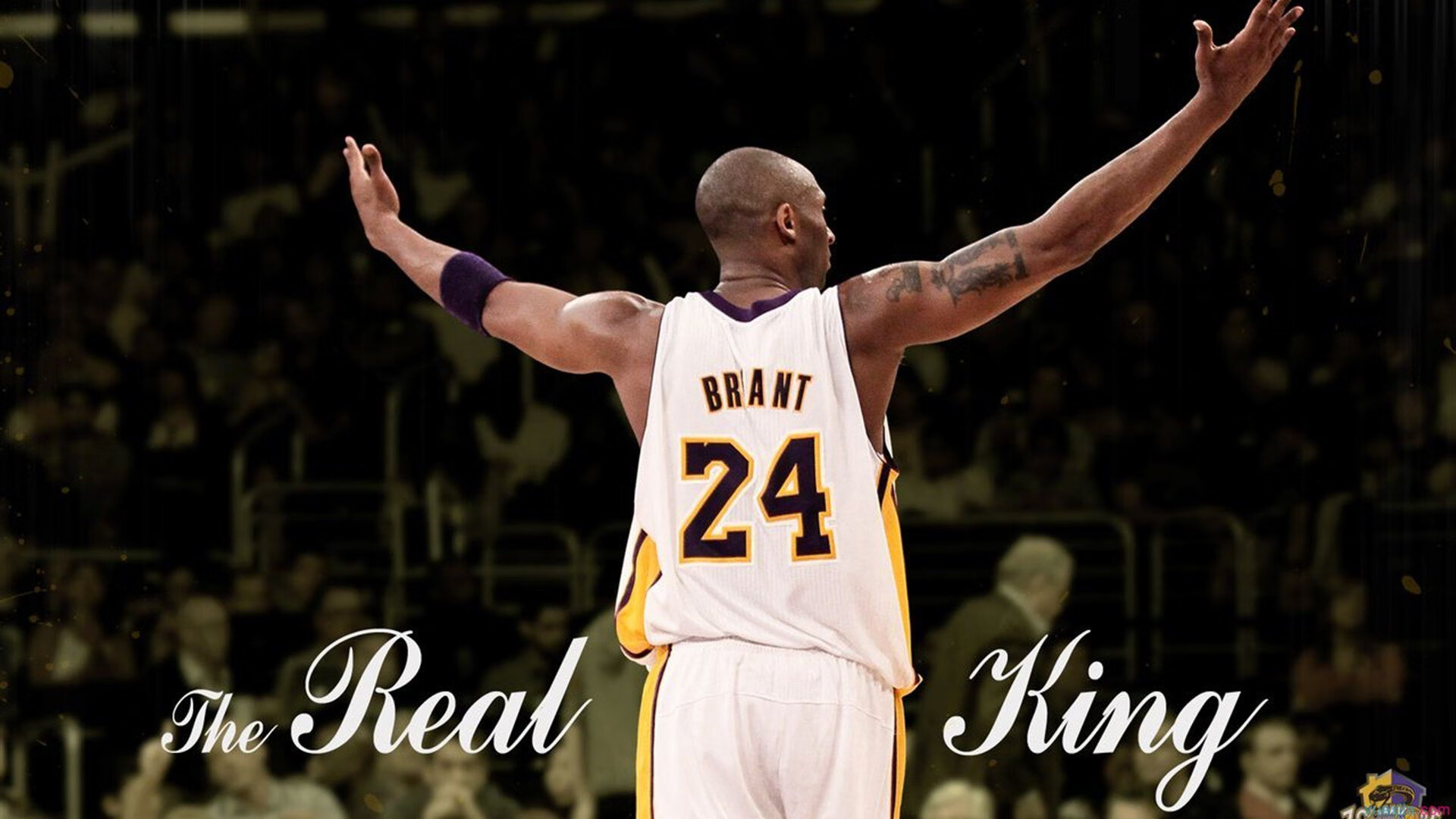 未来联盟的“绿色计划”：环保成为核心环节，绿色未来拆除