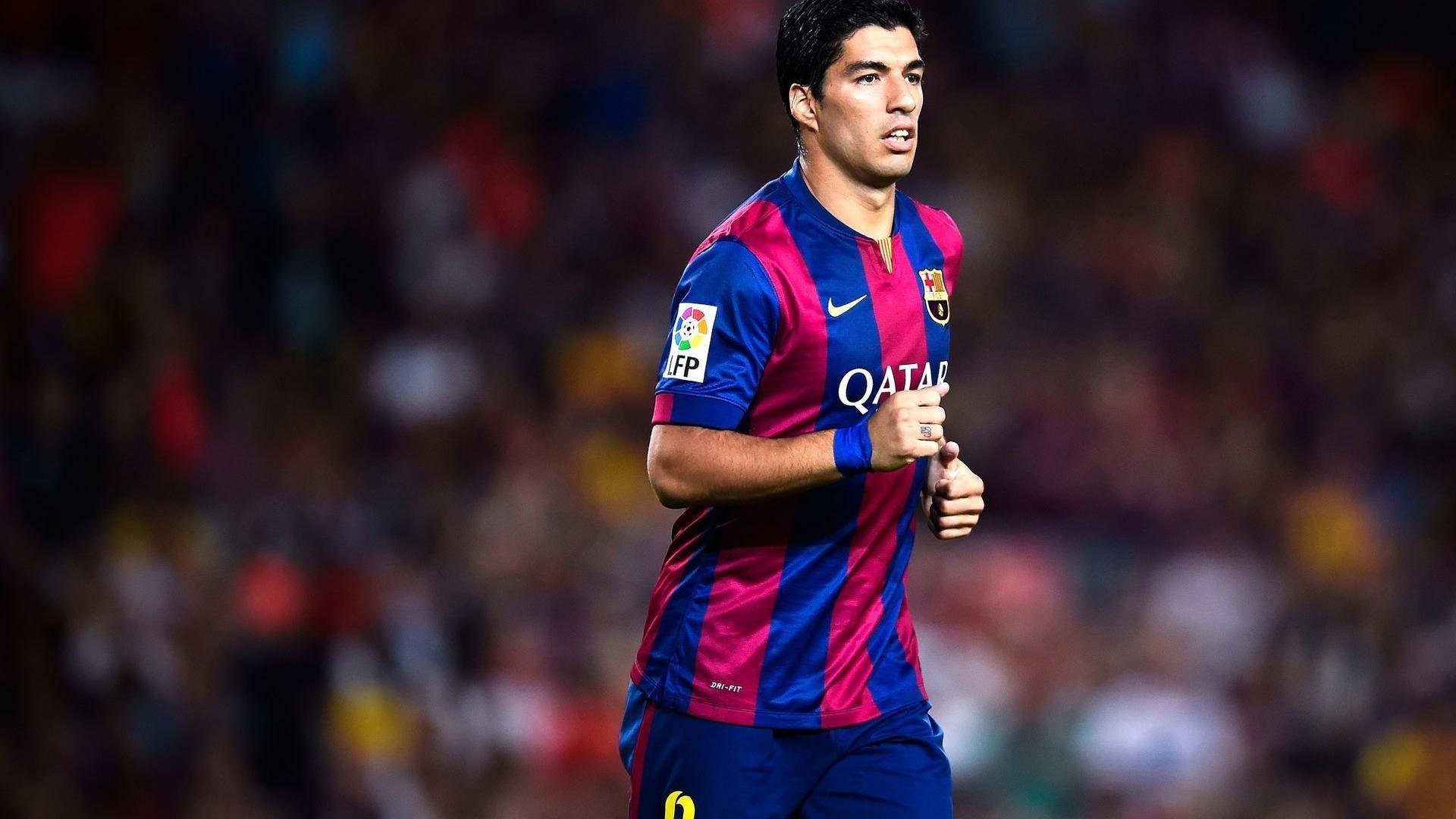 赛事亮点：冠军之路的艰难历程，冠军之路是什么